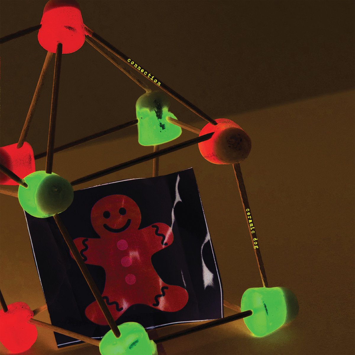 Music Review: Mark Ribot’s Ceramic Dog – Connection