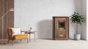 tannoy news 5.2026